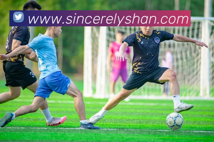 c7平台登录入口发展历程